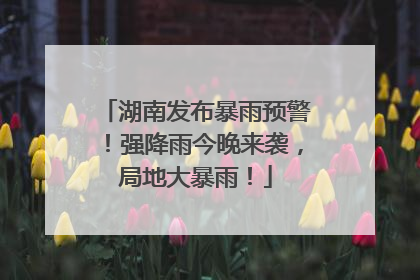 湖南发布暴雨预警！强降雨今晚来袭，局地大暴雨！
