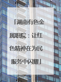 湖南有色金属职院：让红色精神在为民服务中闪耀