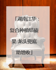 湖南江华：复合种植结硕果 龙头兜底助增收
