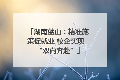 湖南蓝山：精准施策促就业 校企实现“双向奔赴”