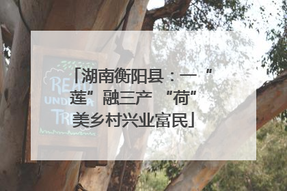 湖南衡阳县：一“莲”融三产 “荷”美乡村兴业富民