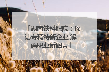 湖南铁科职院：探访专精特新企业 解码职业新图景