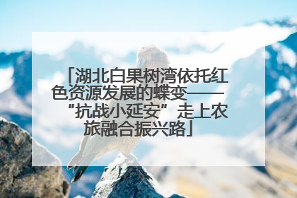 湖北白果树湾依托红色资源发展的蝶变——“抗战小延安”走上农旅融合振兴路