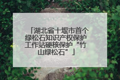 湖北省十堰市首个绿松石知识产权保护工作站硬核保护“竹山绿松石”