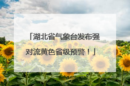 湖北省气象台发布强对流黄色省级预警！