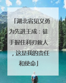 湖北省见义勇为先进王成：徒手握住利刃救人，这是我的责任和使命