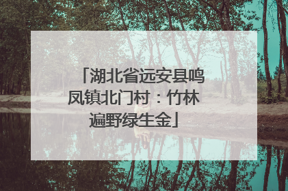 湖北省远安县鸣凤镇北门村：竹林遍野绿生金