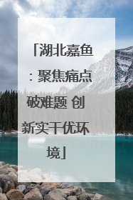 湖北嘉鱼：聚焦痛点破难题 创新实干优环境