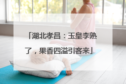 湖北孝昌：玉皇李熟了，果香四溢引客来