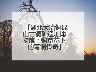 湖北大冶铜绿山古铜矿遗址博物馆：铜草花下的青铜传奇
