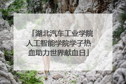 湖北汽车工业学院人工智能学院学子热血助力世界献血日