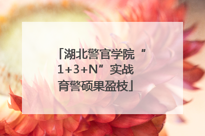 湖北警官学院“1+3+N”实战育警硕果盈枝