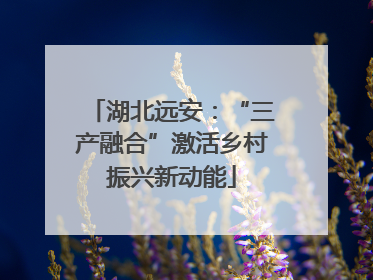 湖北远安：“三产融合”激活乡村振兴新动能