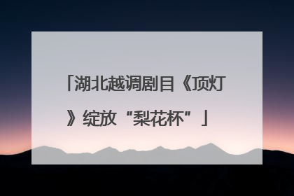 湖北越调剧目《顶灯》绽放“梨花杯”