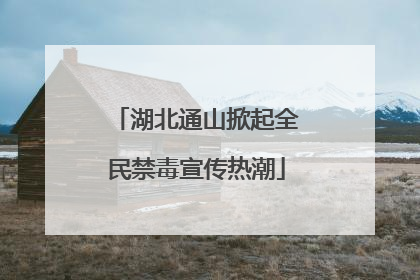 湖北通山掀起全民禁毒宣传热潮