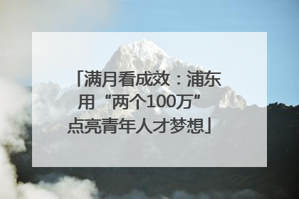 满月看成效：浦东用“两个100万”点亮青年人才梦想