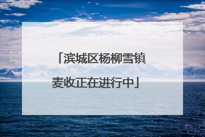 滨城区杨柳雪镇麦收正在进行中