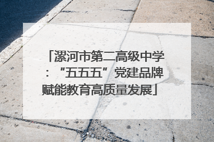 漯河市第二高级中学：“五五五”党建品牌赋能教育高质量发展