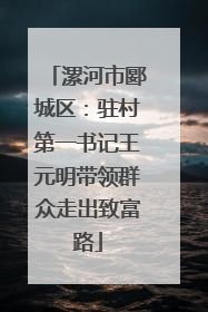 漯河市郾城区：驻村第一书记王元明带领群众走出致富路