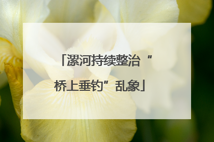 漯河持续整治“桥上垂钓”乱象