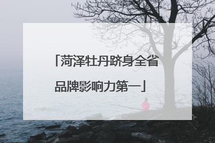 菏泽牡丹跻身全省品牌影响力第一