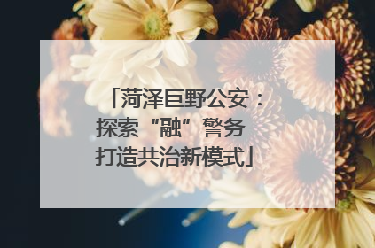菏泽巨野公安：探索“融”警务 打造共治新模式