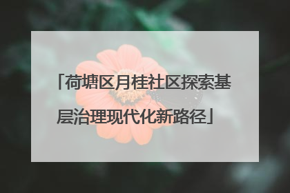 荷塘区月桂社区探索基层治理现代化新路径