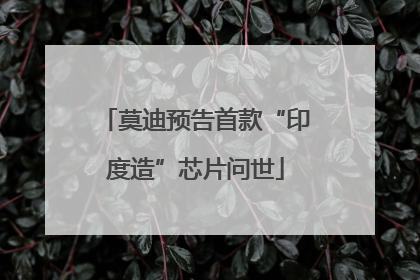 莫迪预告首款“印度造”芯片问世