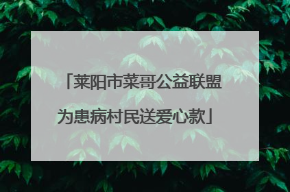 莱阳市菜哥公益联盟为患病村民送爱心款