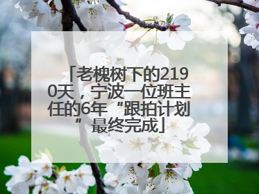 老槐树下的2190天，宁波一位班主任的6年“跟拍计划”最终完成