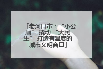 老河口市：“小公厕” 撬动 “大民生” 打造有温度的城市文明窗口