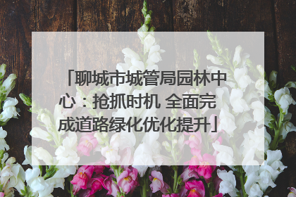 聊城市城管局园林中心：抢抓时机 全面完成道路绿化优化提升