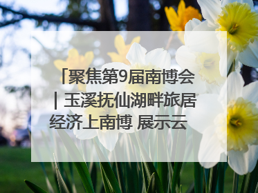 聚焦第9届南博会｜玉溪抚仙湖畔旅居经济上南博 展示云南生活新样本