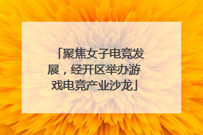 聚焦女子电竞发展，经开区举办游戏电竞产业沙龙
