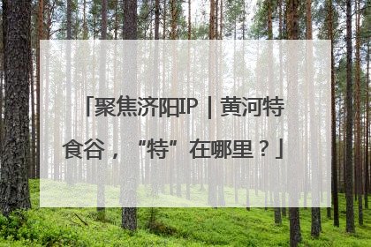 聚焦济阳IP｜黄河特食谷，“特”在哪里？