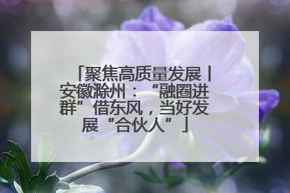 聚焦高质量发展丨安徽滁州：“融圈进群”借东风，当好发展“合伙人”