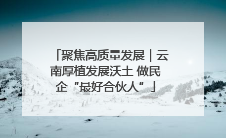 聚焦高质量发展｜云南厚植发展沃土 做民企“最好合伙人”
