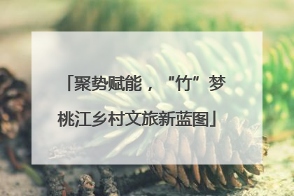 聚势赋能，“竹”梦桃江乡村文旅新蓝图