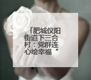 肥城仪阳街道下三合村：党群连心绘幸福“实景图”