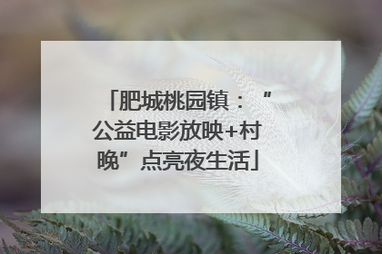 肥城桃园镇：“公益电影放映+村晚”点亮夜生活