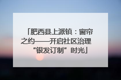 肥西县上派镇：窗帘之约——开启社区治理“银发订制”时光