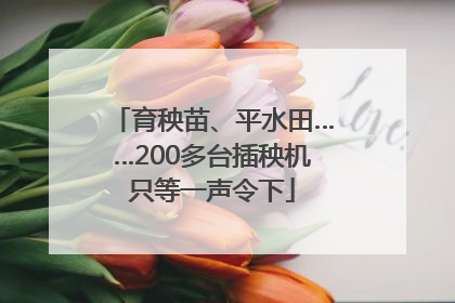 育秧苗、平水田……200多台插秧机只等一声令下