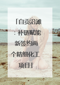 自贡沿滩：补链赋能 新签约两个精细化工项目