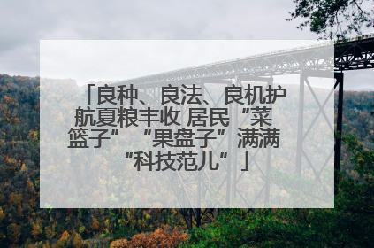良种、良法、良机护航夏粮丰收 居民“菜篮子”“果盘子”满满“科技范儿”