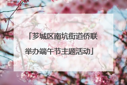 芗城区南坑街道侨联举办端午节主题活动