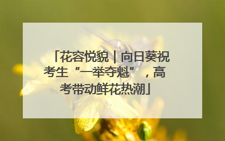 花容悦貌｜向日葵祝考生“一举夺魁”，高考带动鲜花热潮