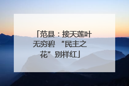 范县：接天莲叶无穷碧 “民主之花”别样红
