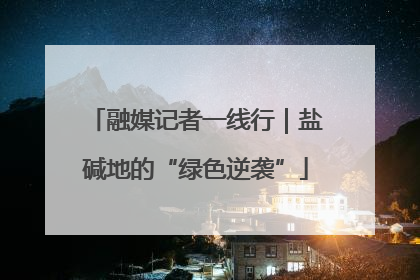 融媒记者一线行｜盐碱地的“绿色逆袭”