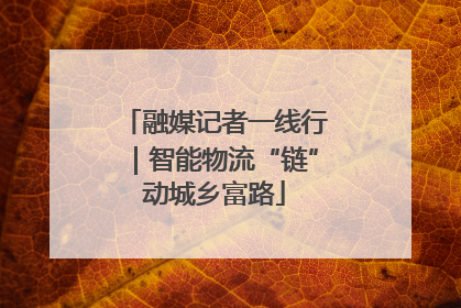 融媒记者一线行｜智能物流“链”动城乡富路