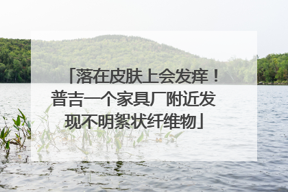 落在皮肤上会发痒！普吉一个家具厂附近发现不明絮状纤维物